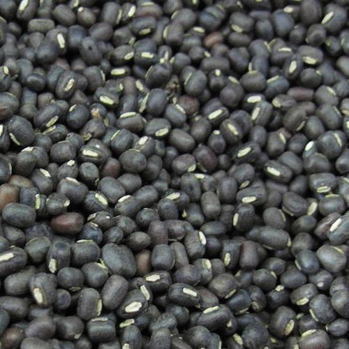 Black Gram (Urd Beans)(Whole)