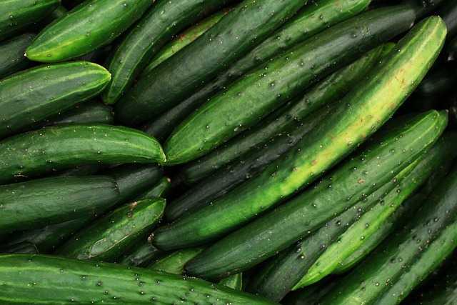 Cucumbar(Kheera)